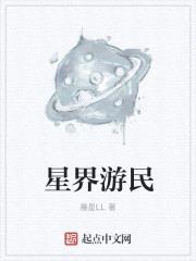 星界游民封面