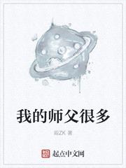 我的师父很多封面